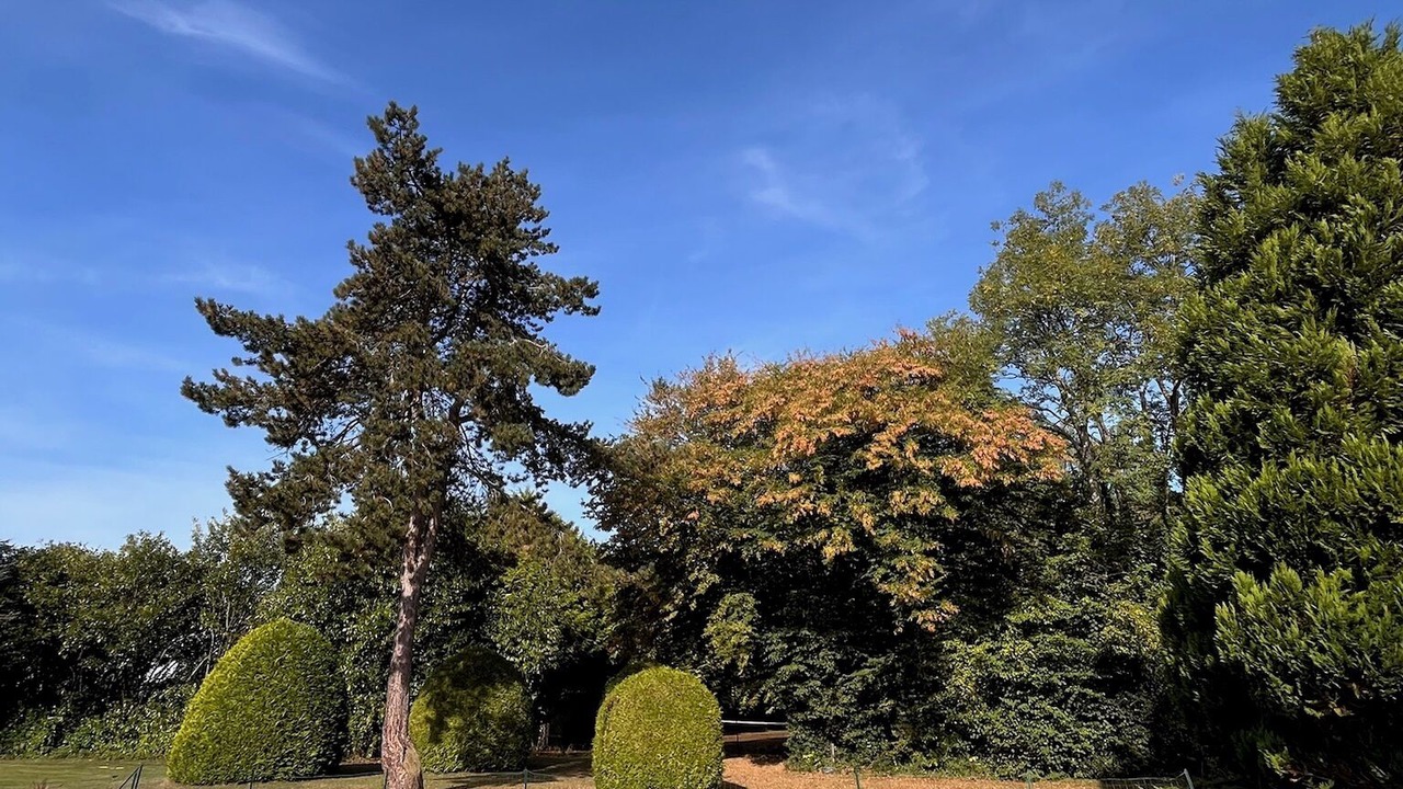 Photo of Outdoor in Saint-Pierre-de-Salerne