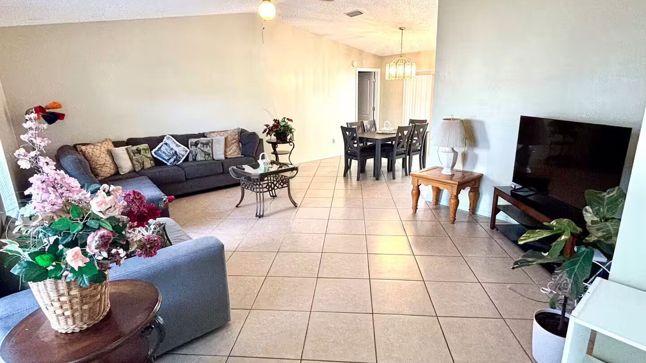 Photo of Livingroom in Safety Harbor