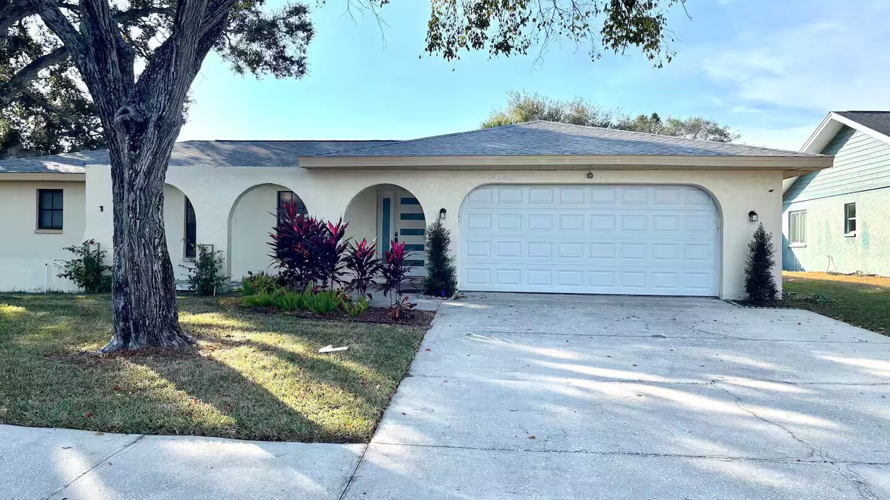 Photo of Outdoor in Safety Harbor