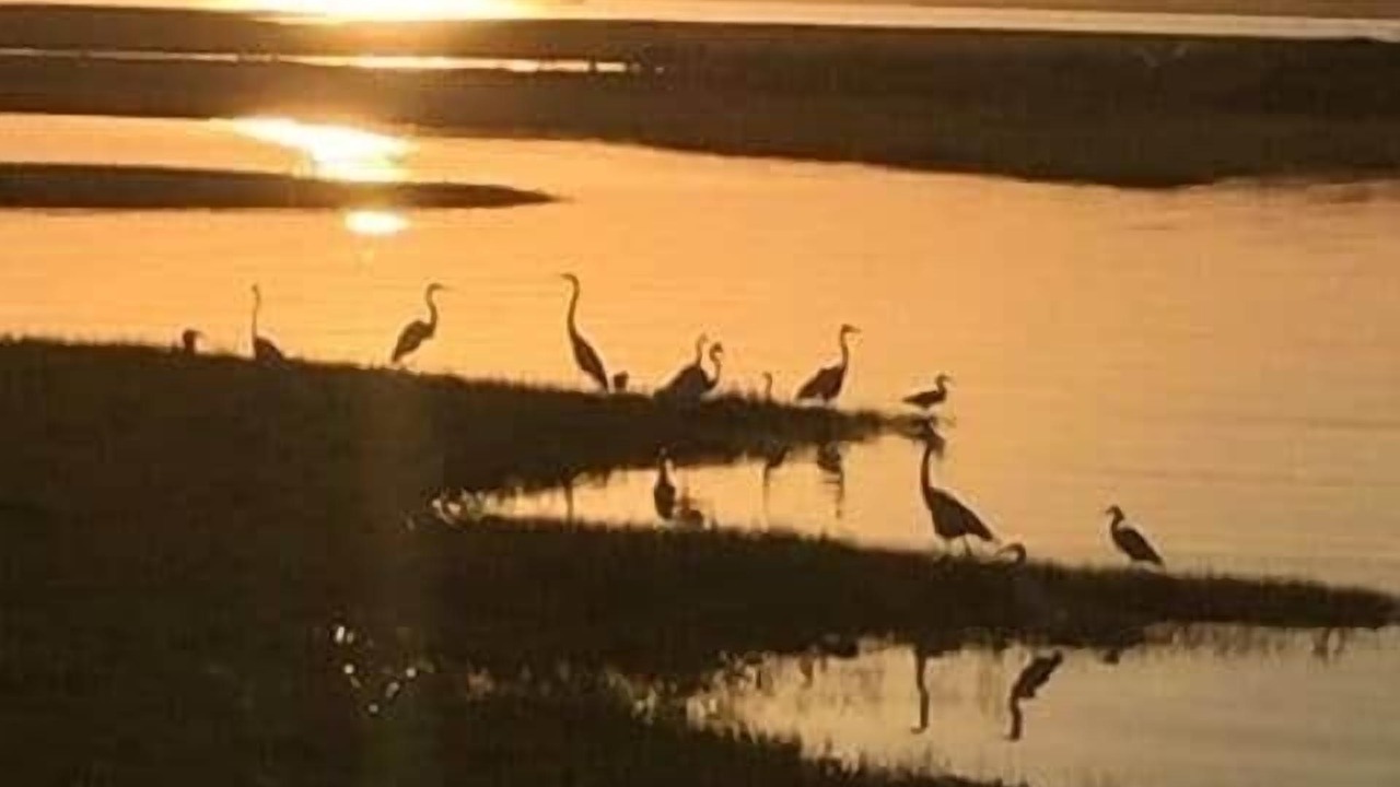 Photo of Others in West Hampton Dunes