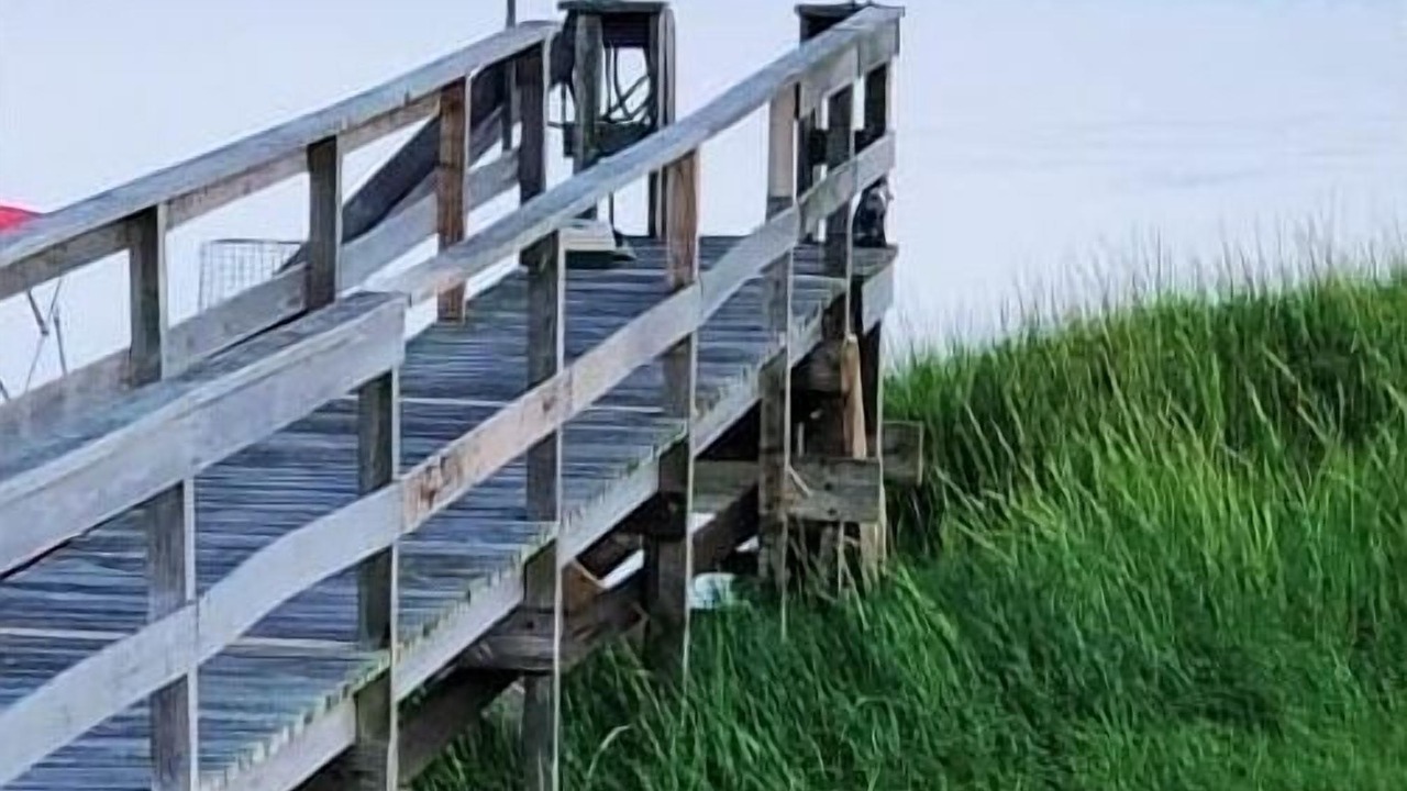 Photo of Others in West Hampton Dunes