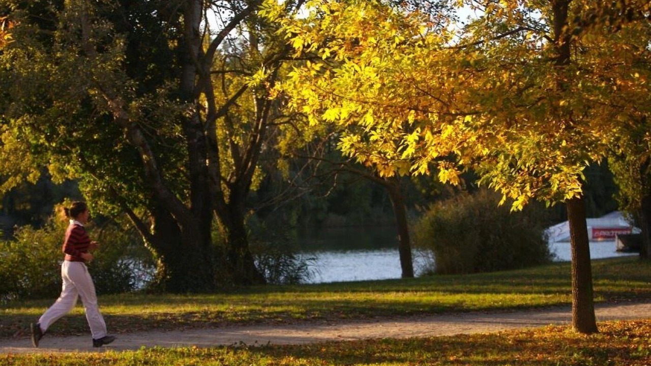 Photo of Others in Sept Deniers - Ginestous