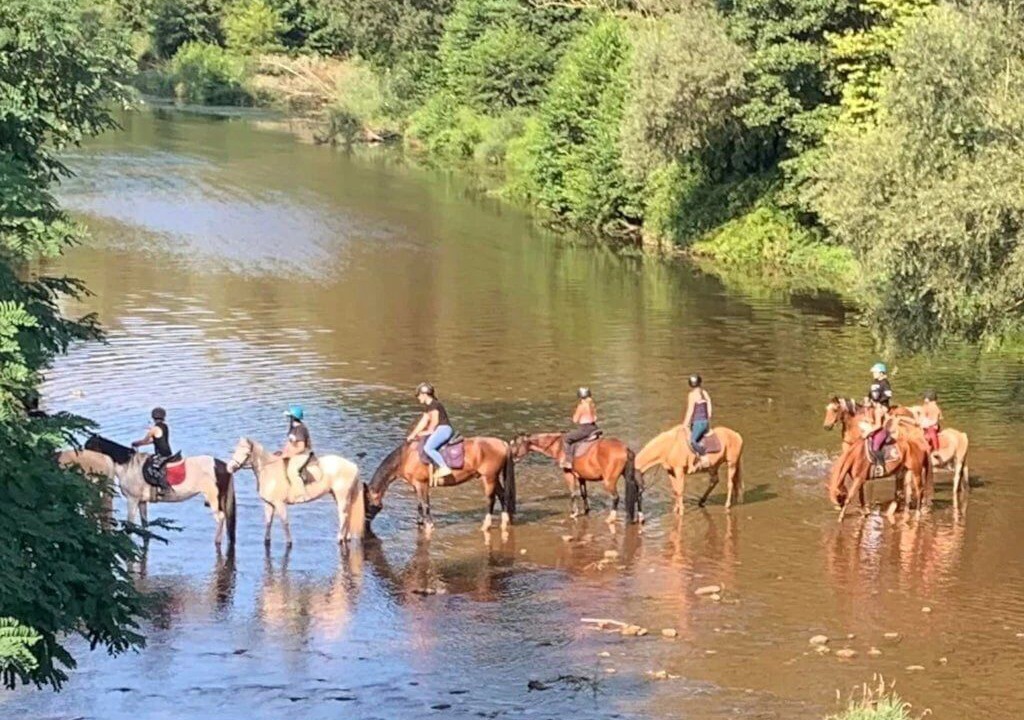 Photo of Others in Montlaur