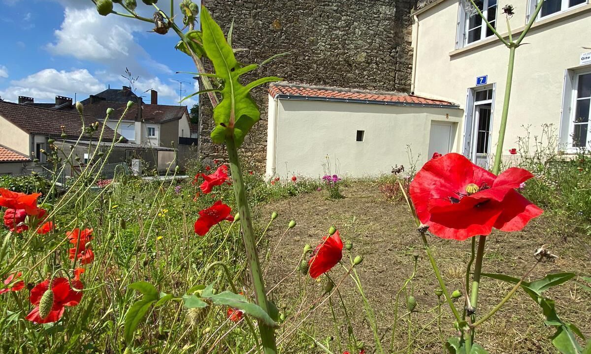 Photo of Outdoor in Les Epesses