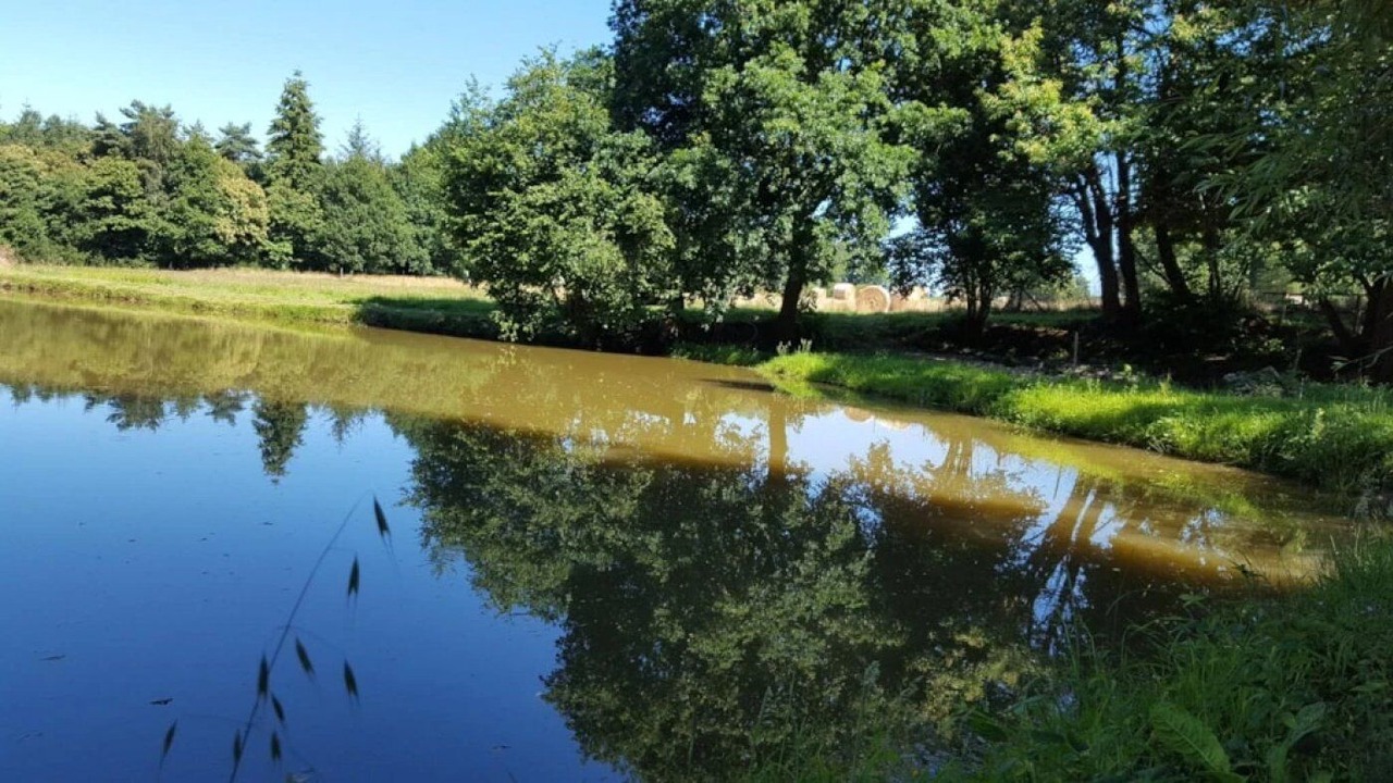 Photo of Others in Caro