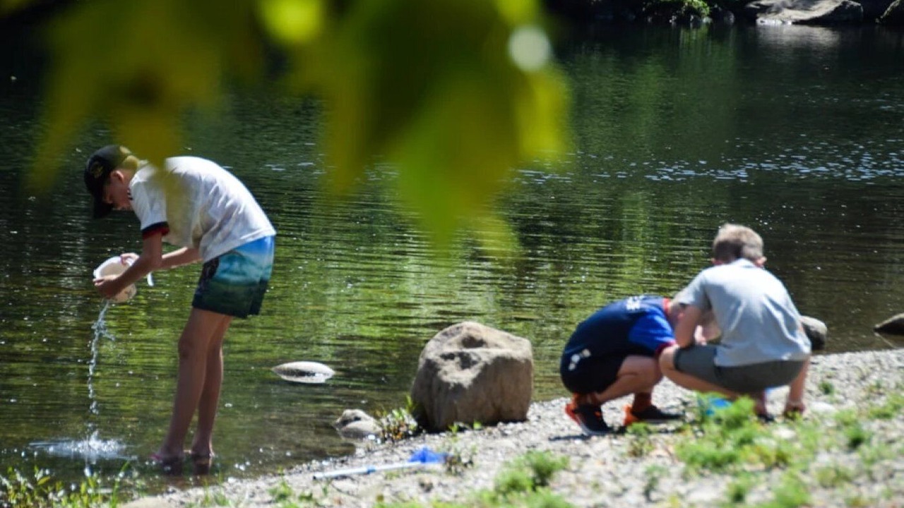 Photo of Others in Chassagnes