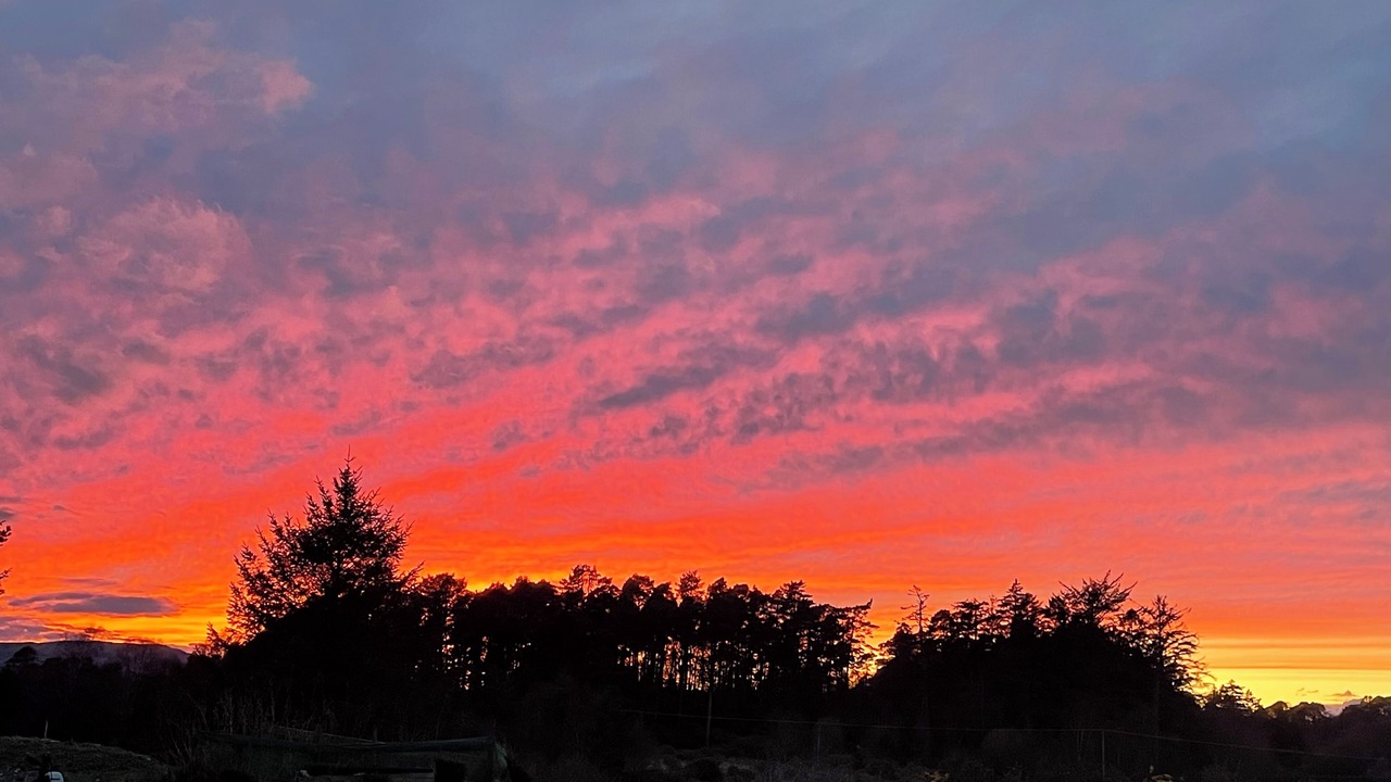 Photo of Others in Salen