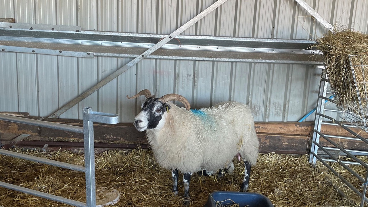 Photo of Others in Salen