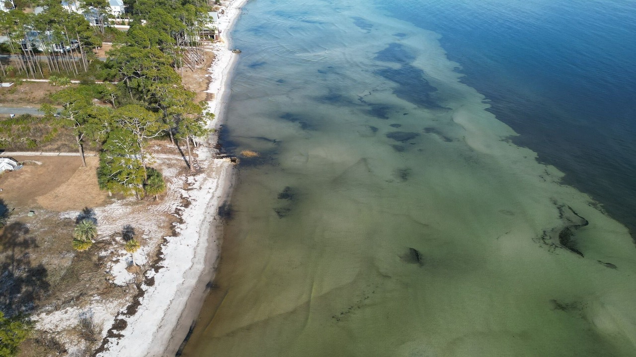 Photo of Others in Carrabelle