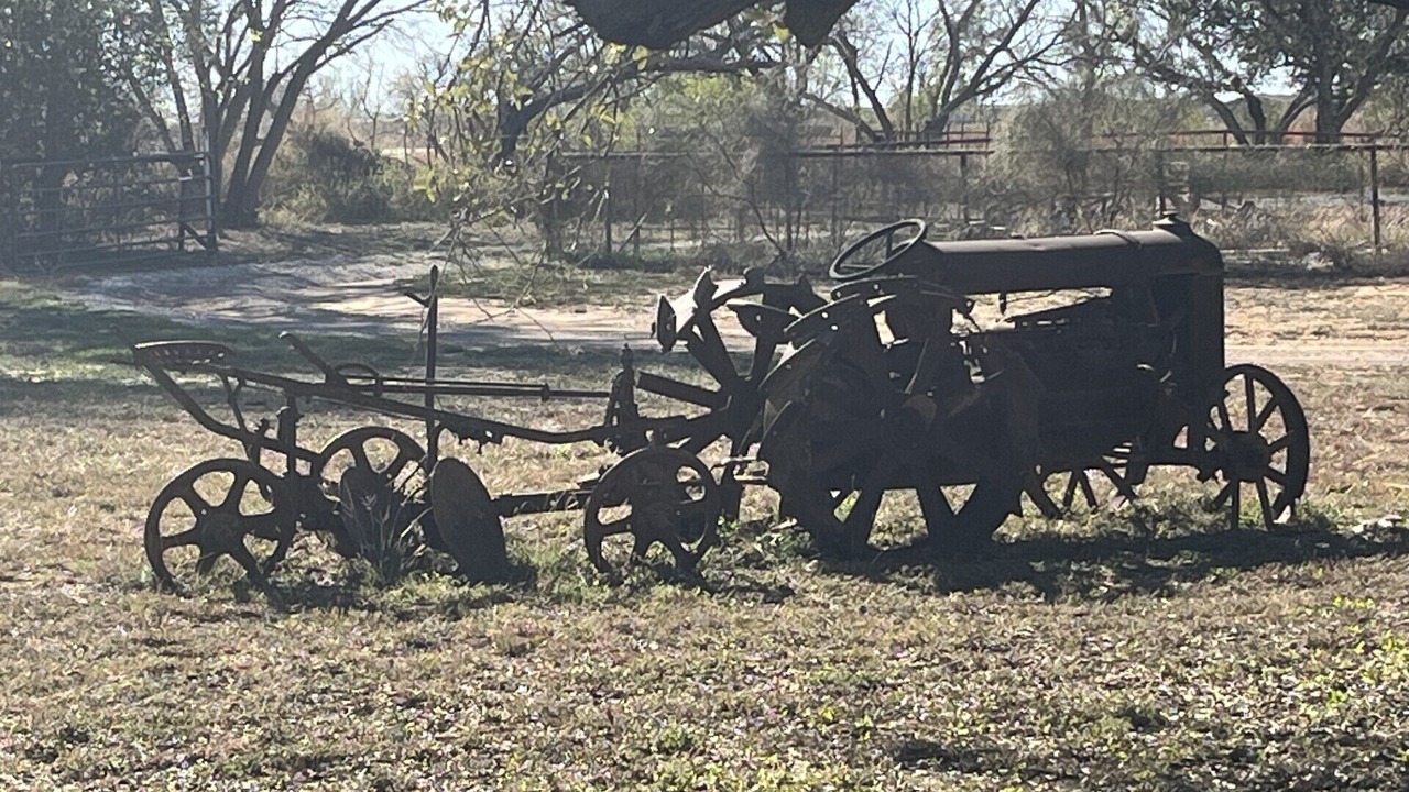 Photo of Others in San Antonio