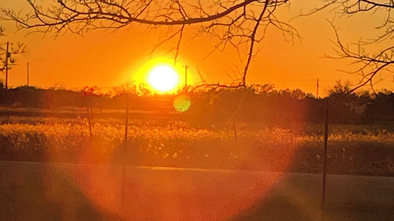 Photo of Outdoor in Hondo
