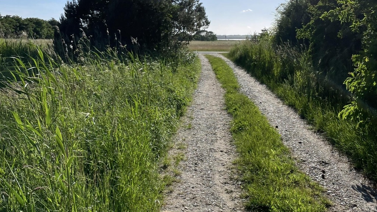 Photo of Others in Udbyhøj