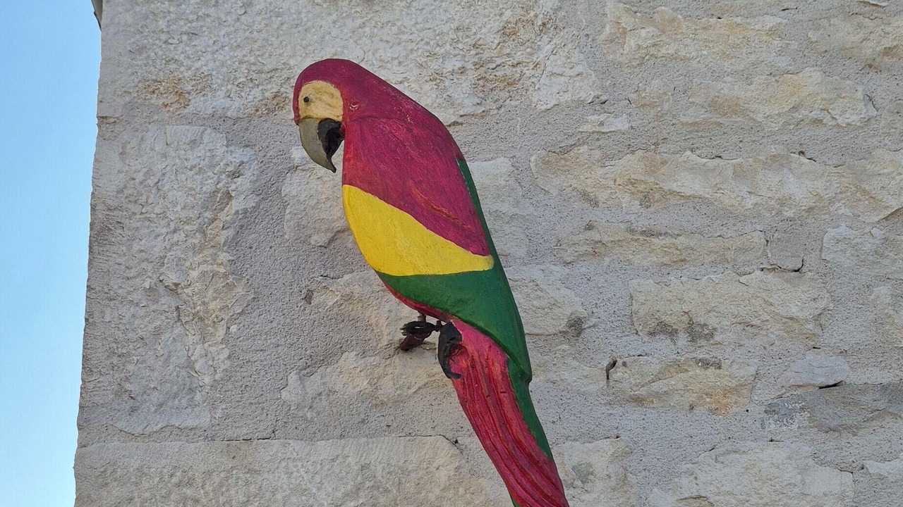 Photo of Outdoor in Floirac