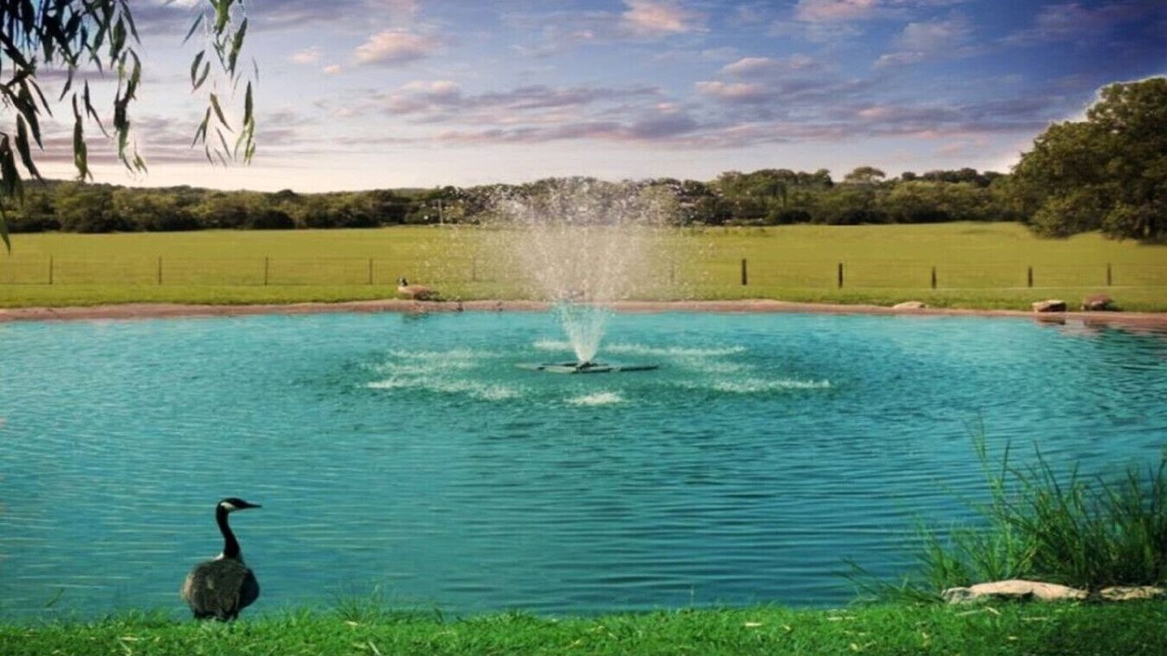 Photo of Outdoor in Mount Juliet