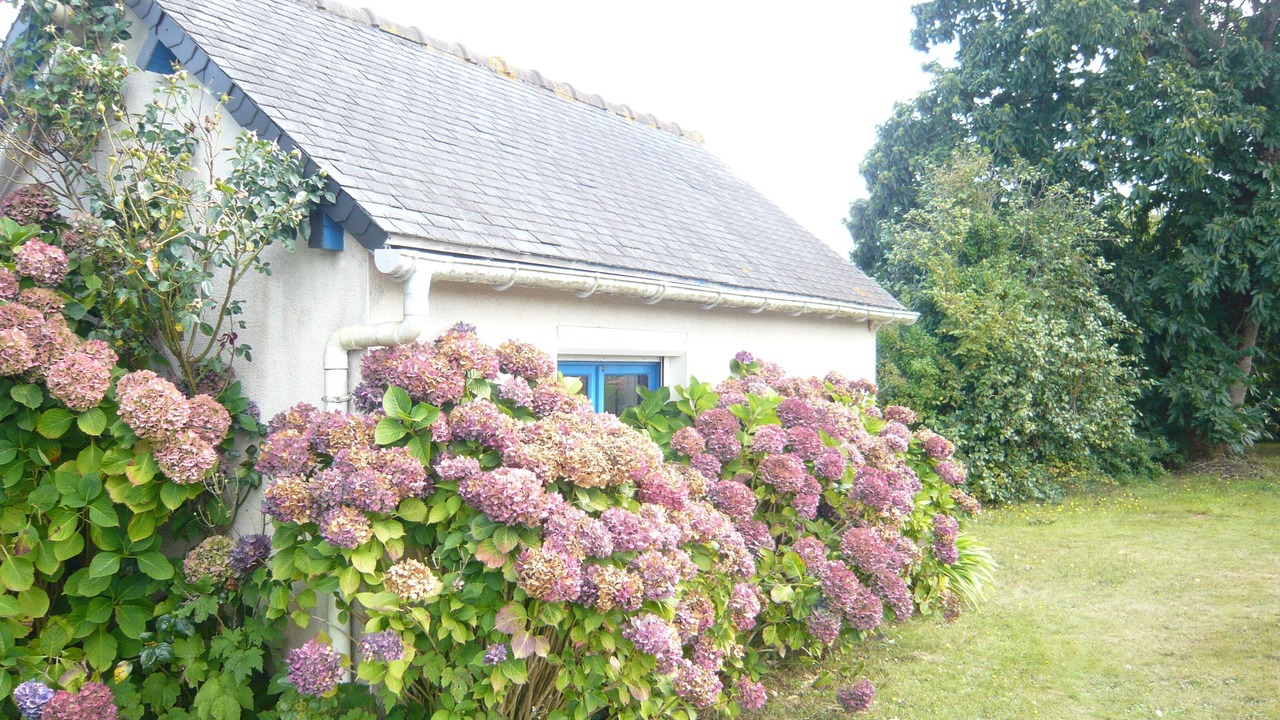 Photo of Outdoor in Plouezec