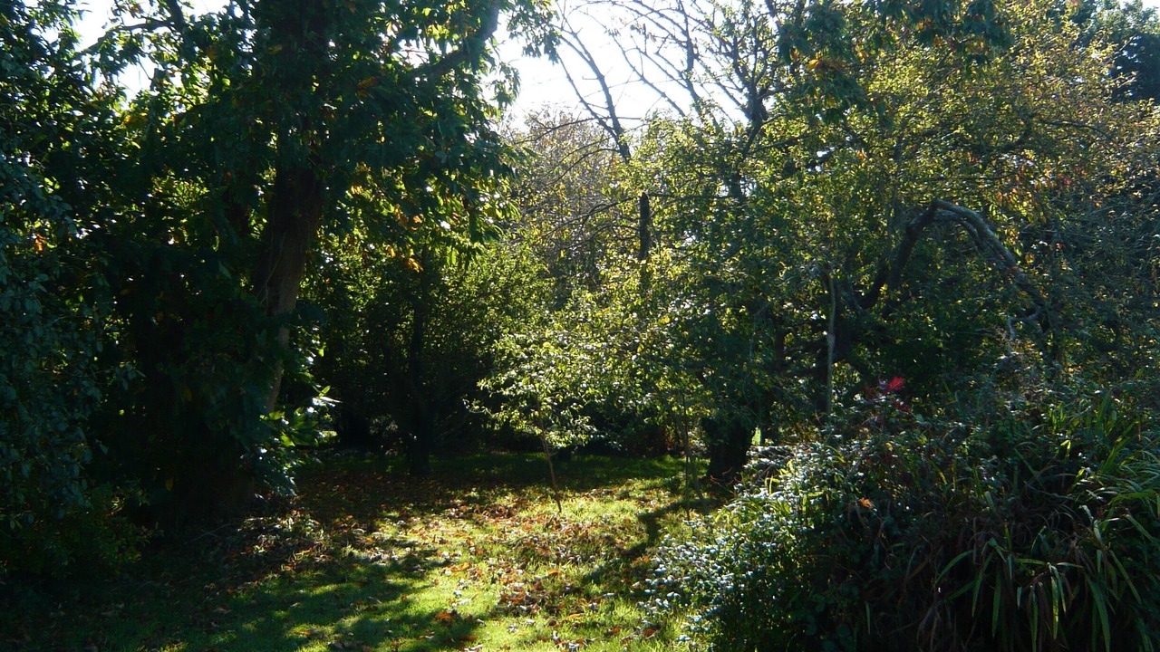 Photo of Others in Plouezec