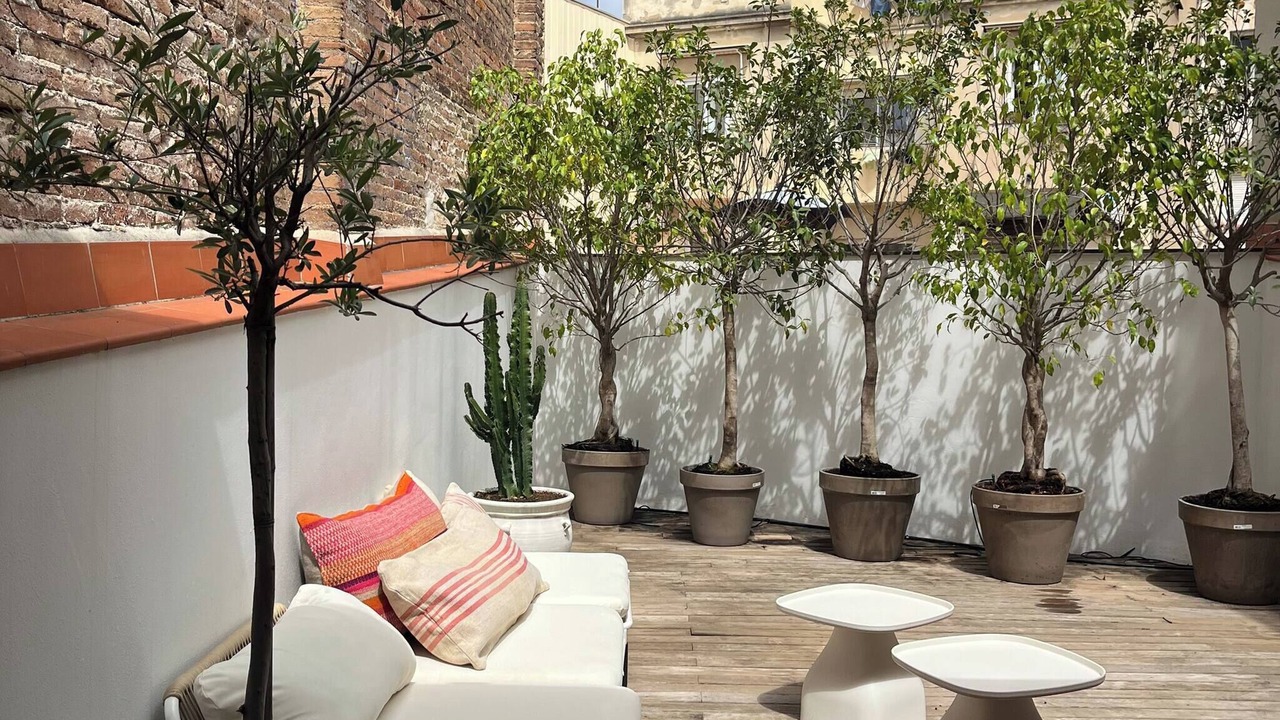 Photo of Outdoor in El Born