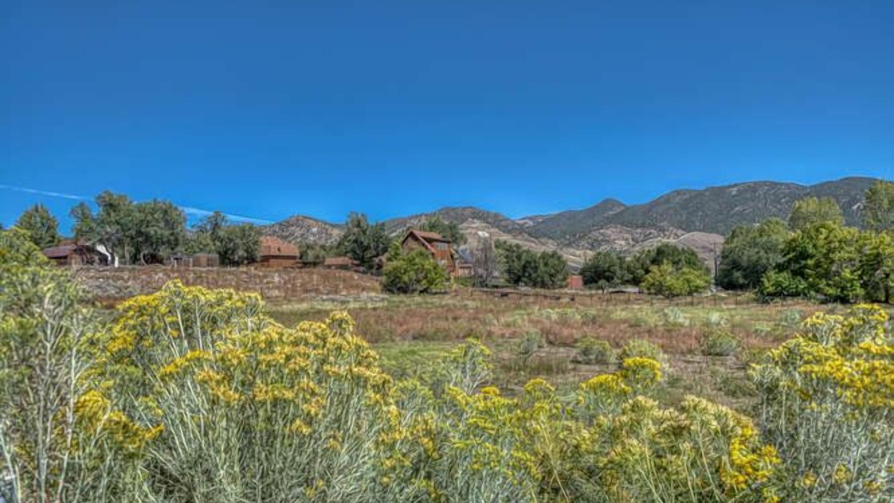 Photo of Others in Salida