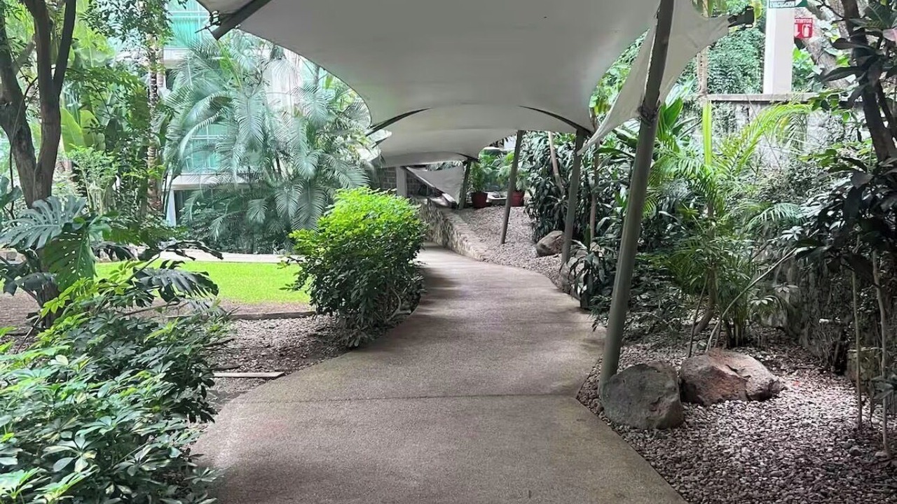 Photo of Outdoor in Jacarandas
