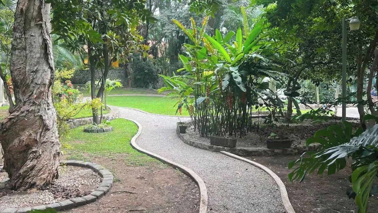Photo of Outdoor in Jacarandas