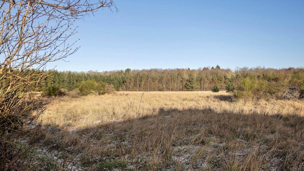 Photo of Others in Faldsled