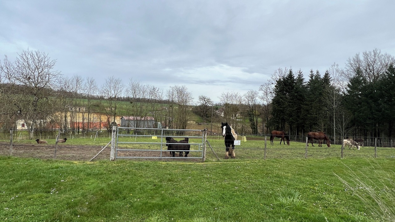Photo of Others in Chateauvieux