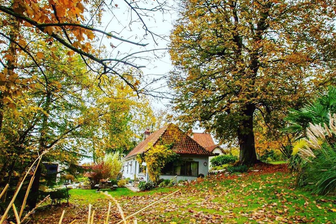 Photo of Outdoor in Marenla