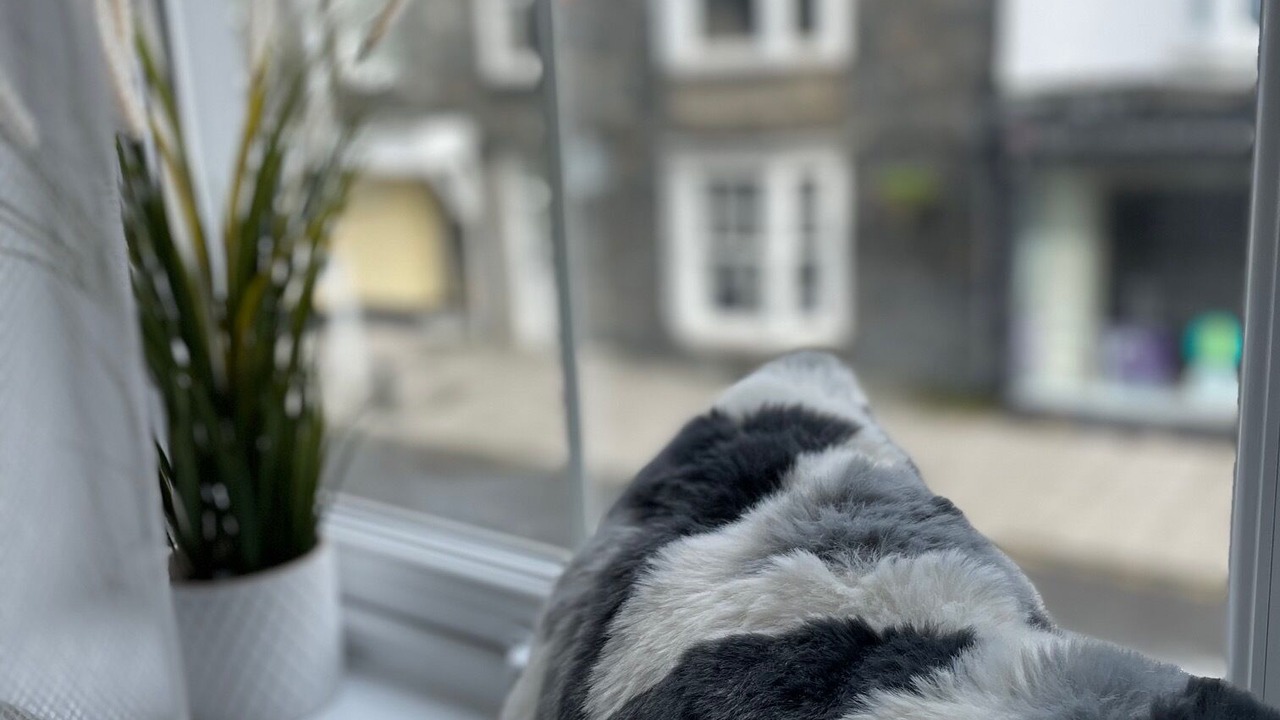 Photo of Others in Lampeter