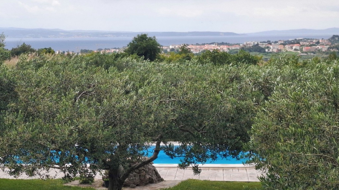 Photo of Others in Mravince