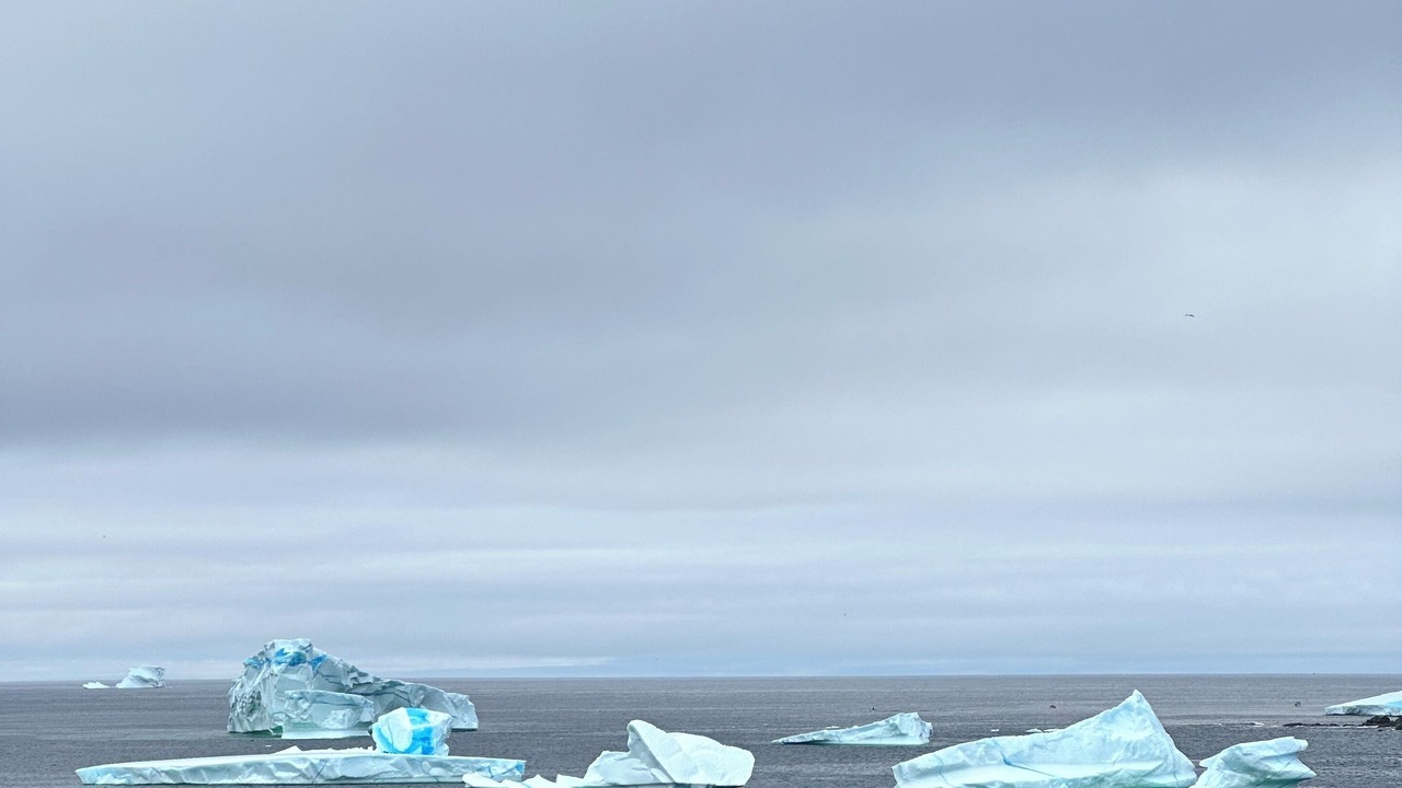 Photo of Others in Crow Head