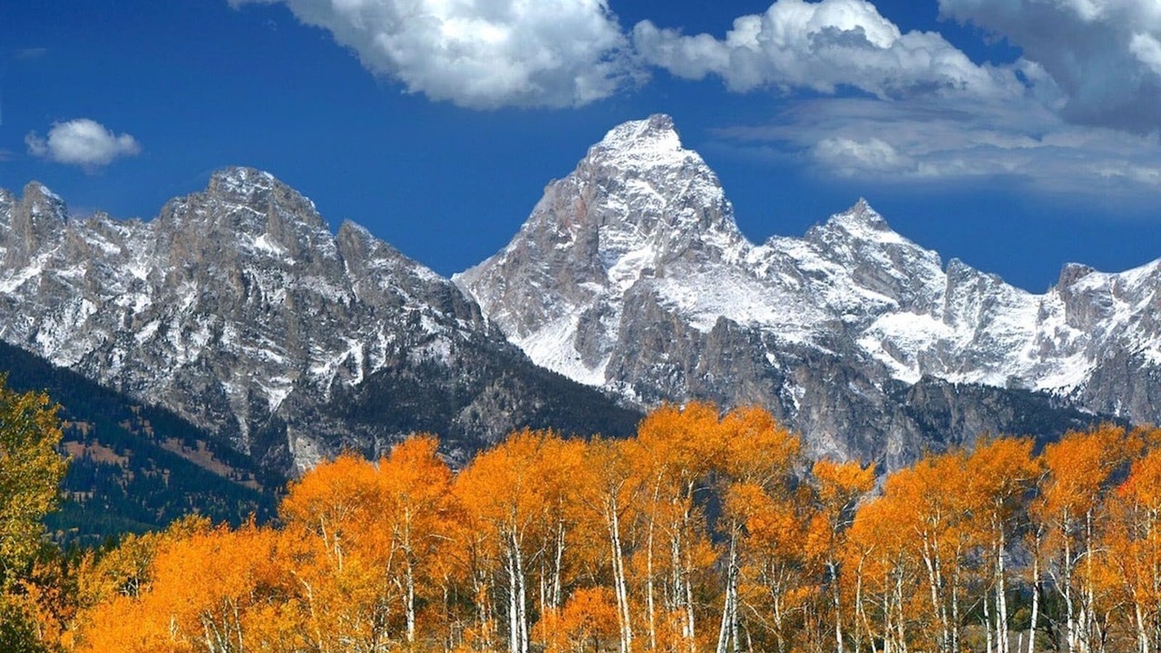 Photo of Others in Alta