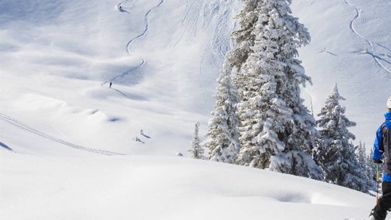 Photo of Others in Alta