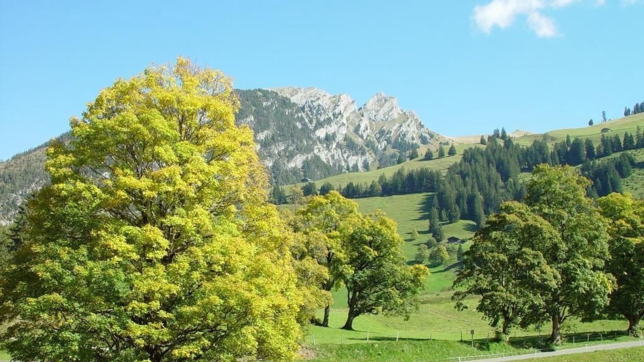 Photo of Others in Schwenden