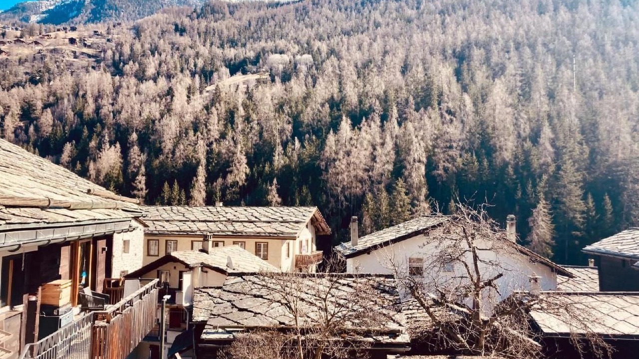 Photo of Others in St. Niklaus