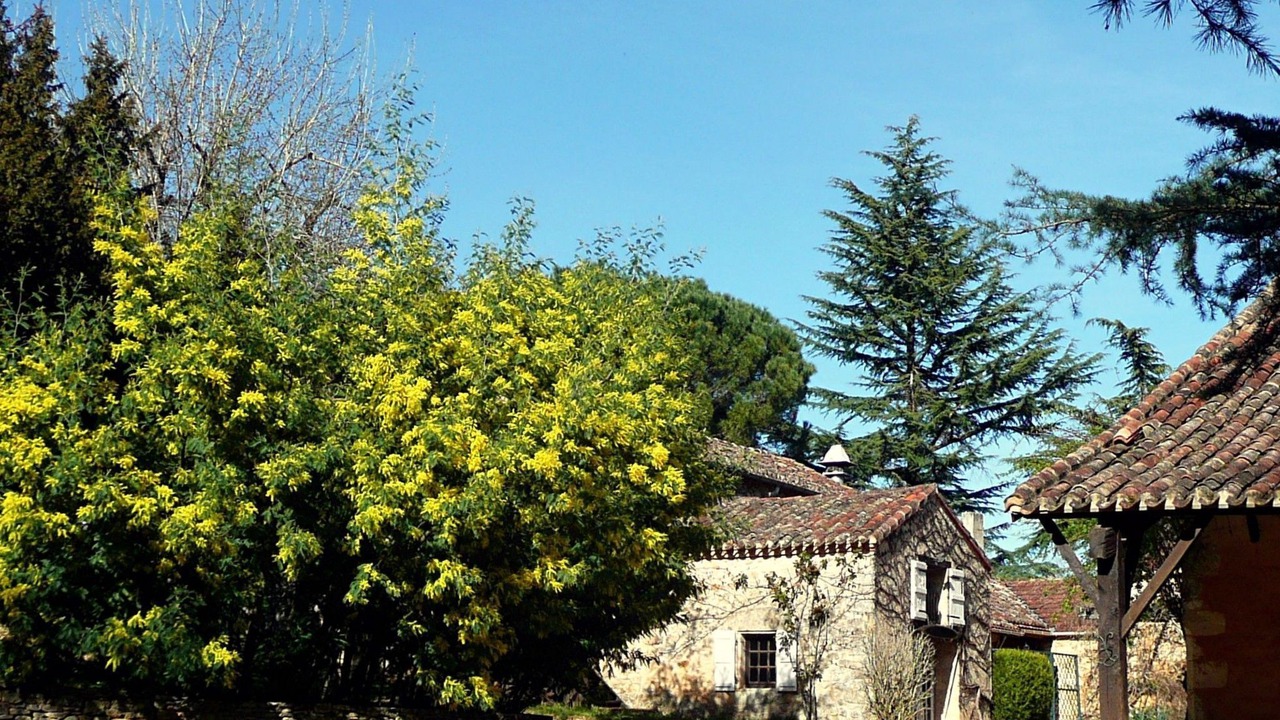 Photo of Others in Gavaudun