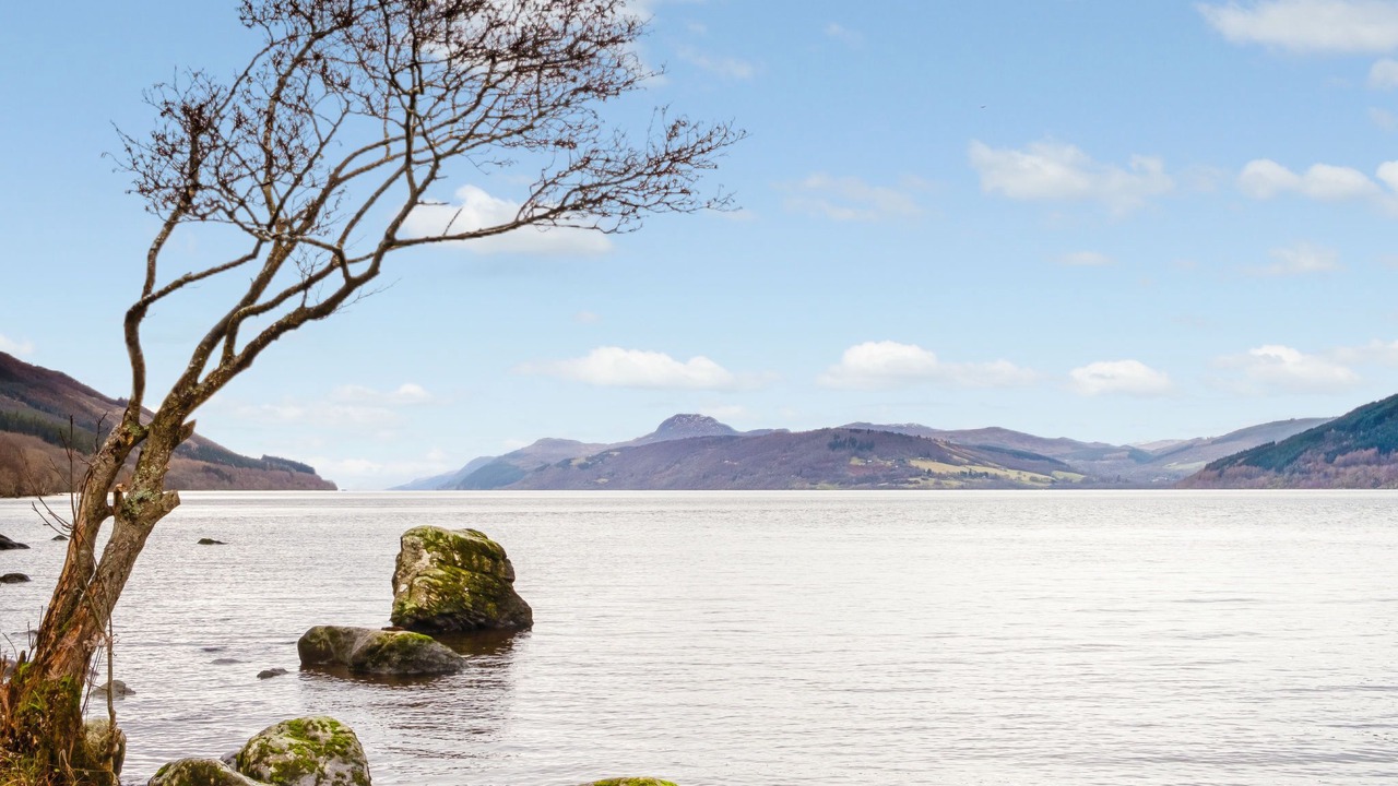 Photo of Others in East Lewiston