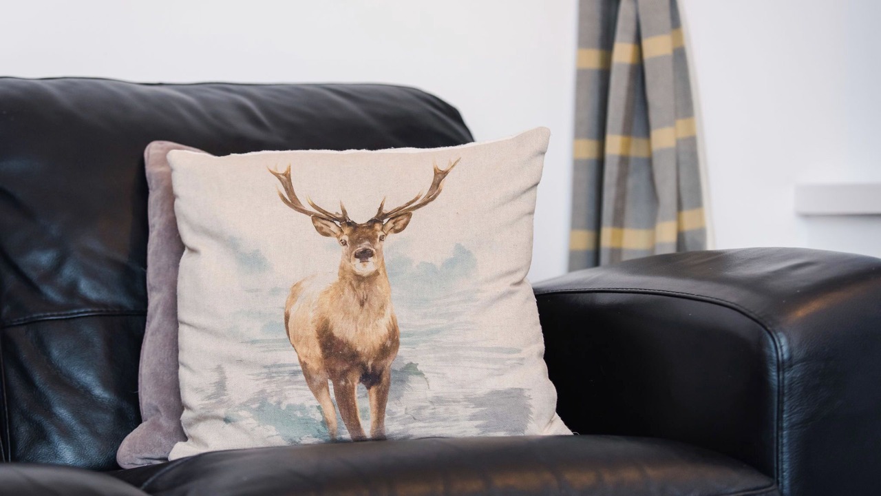 Photo of Livingroom in East Lewiston