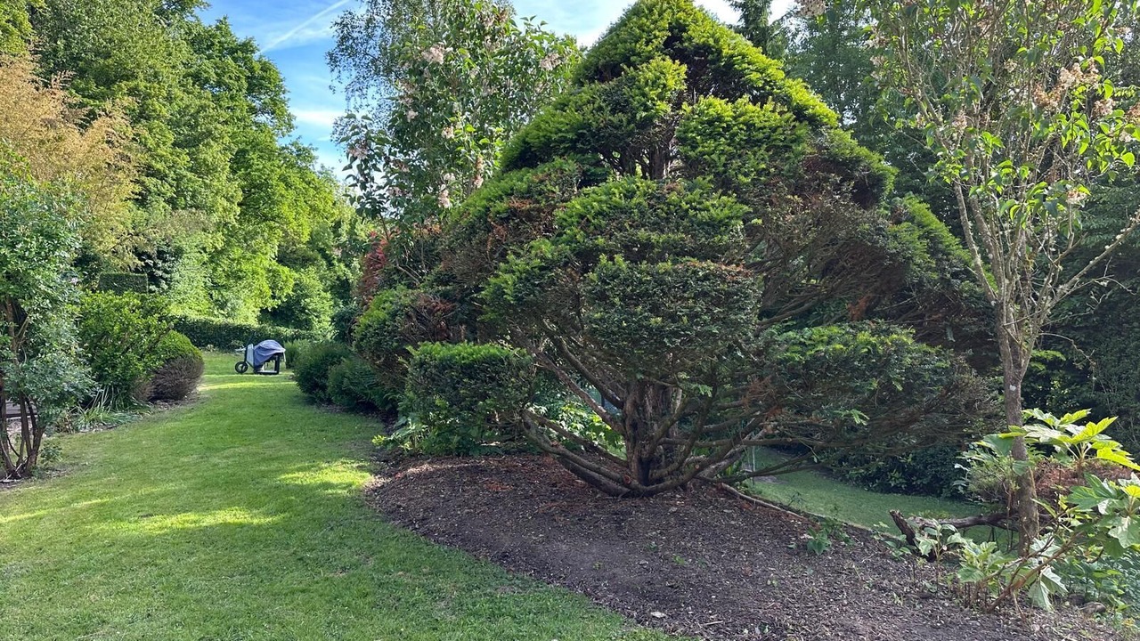 Photo of Outdoor in Saint-Martin-Saint-Firmin