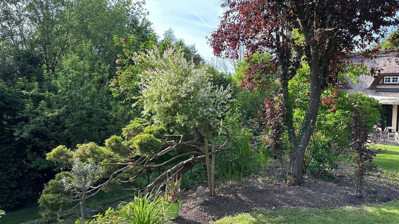 Photo of Outdoor in Saint-Martin-Saint-Firmin