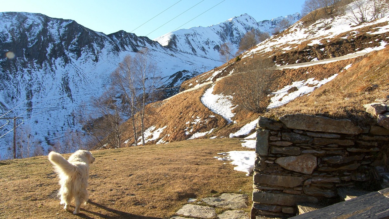 Photo of Others in Grust