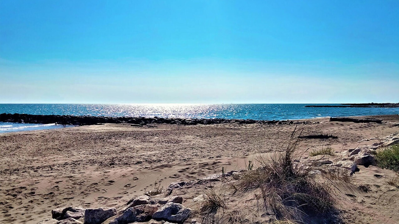 Photo of Others in Collias