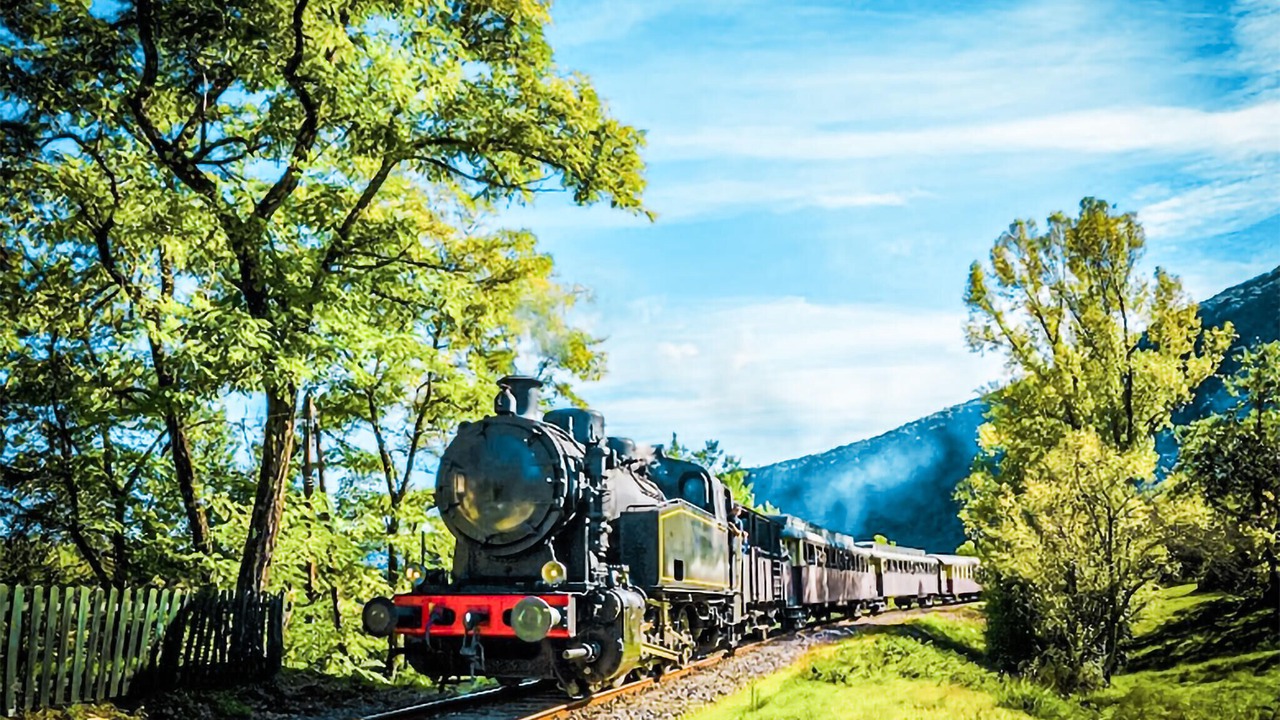 Photo of Others in Collias