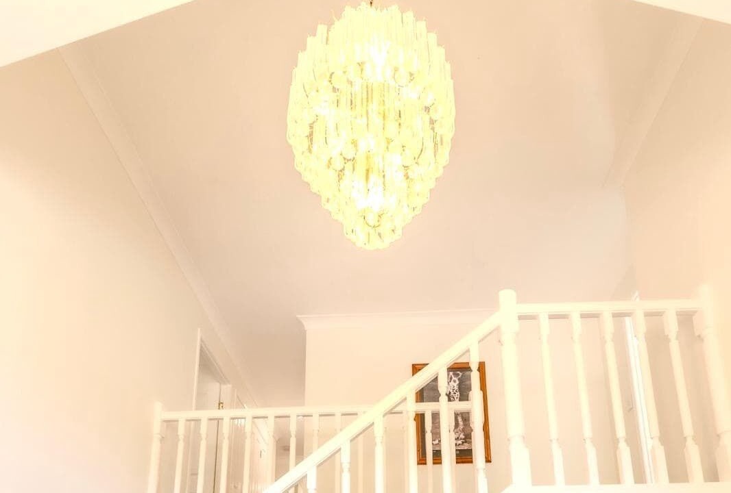 Photo of Others in Bonogin