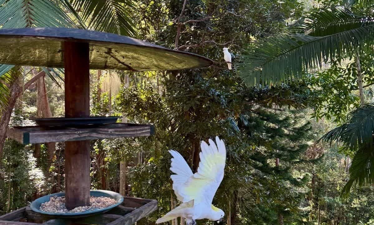 Photo of Outdoor in Bonogin