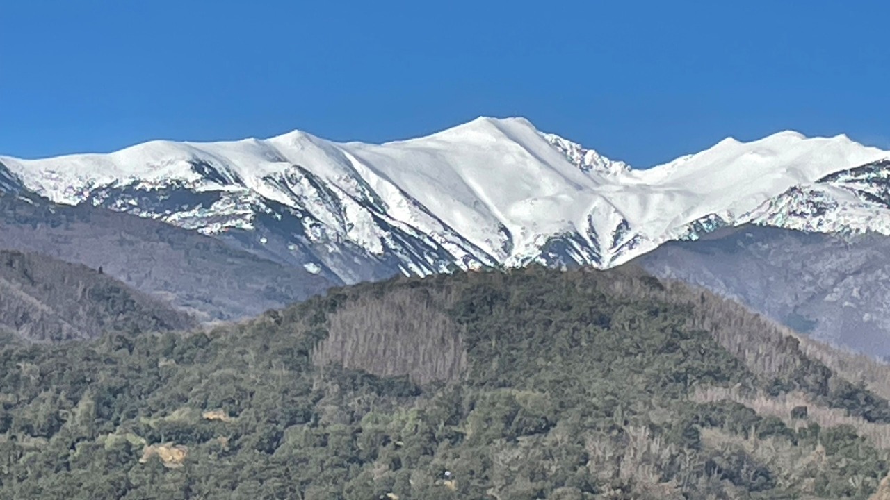 Photo of Others in Montferrer