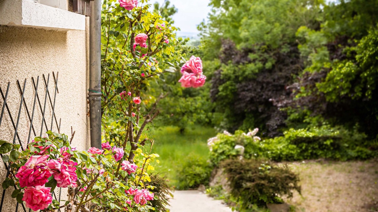 Photo of Outdoor in Jouy-le-Moutier