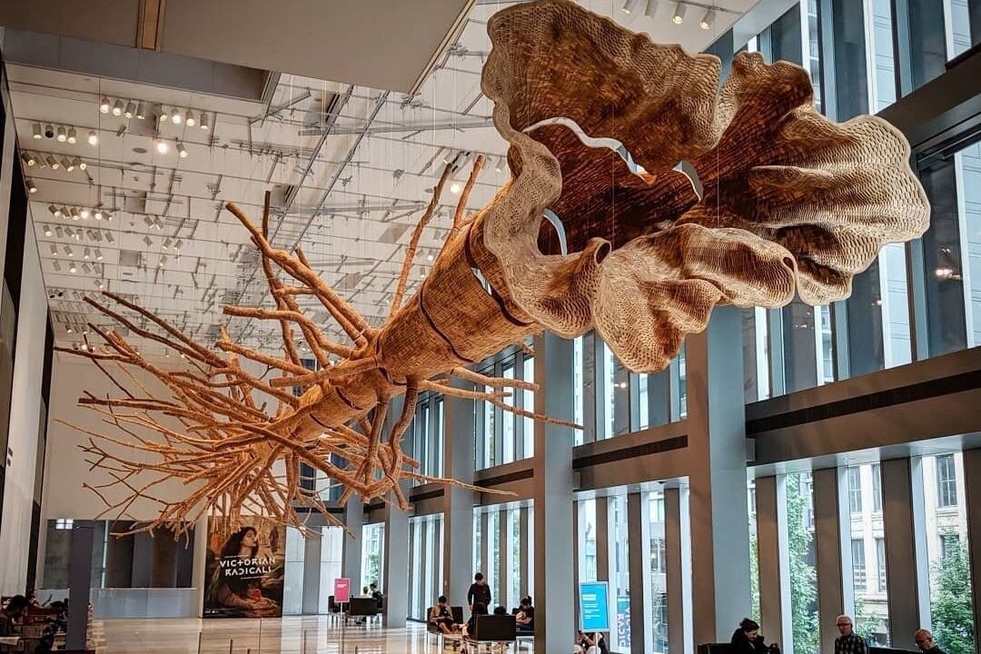 Photo of Others in Downtown Seattle