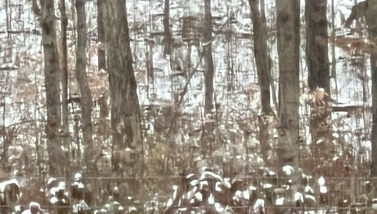 Photo of Others in Martinsville