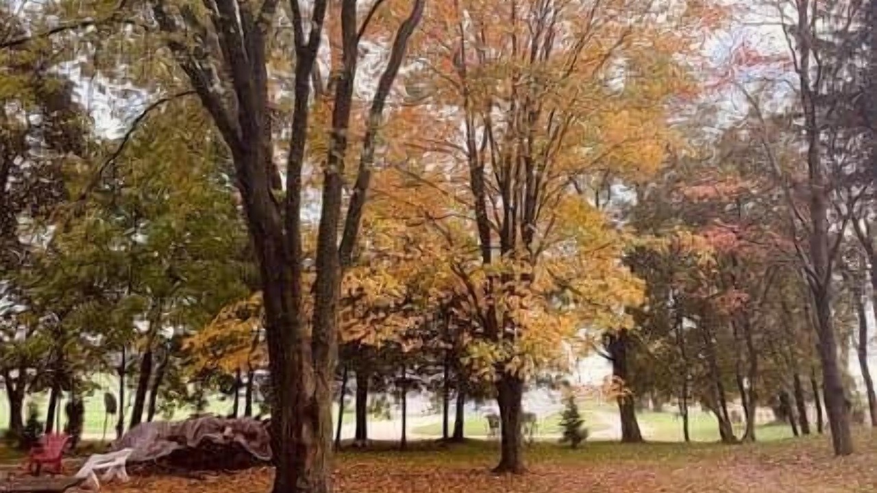 Photo of Others in Elkhart Lake
