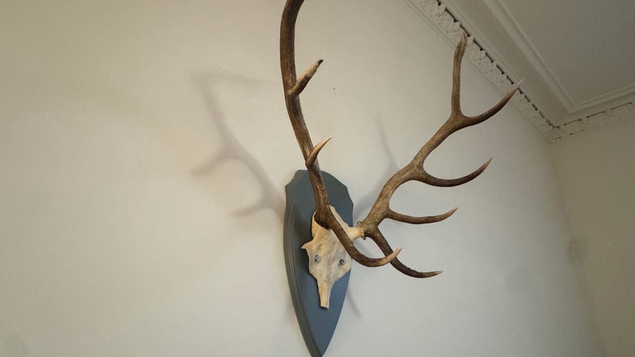 Photo of Others in Broughty Ferry